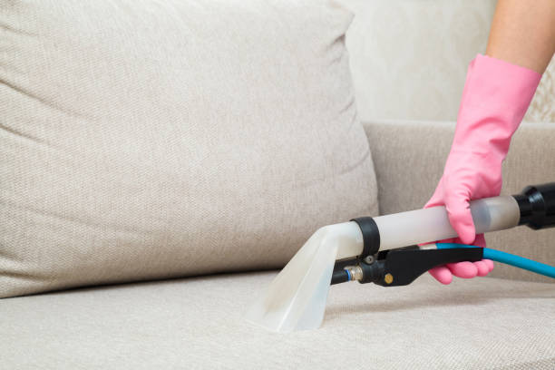 Reliable Upholstery Cleaning Service You Can Trust